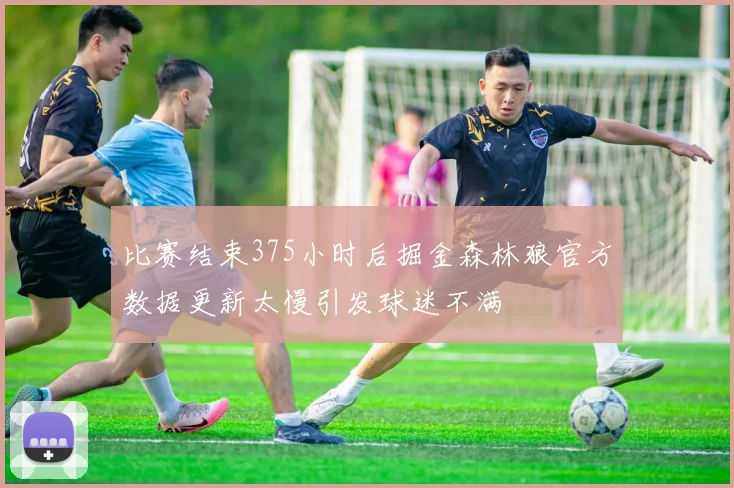 比赛结束375小时后掘金森林狼官方数据更新太慢引发球迷不满