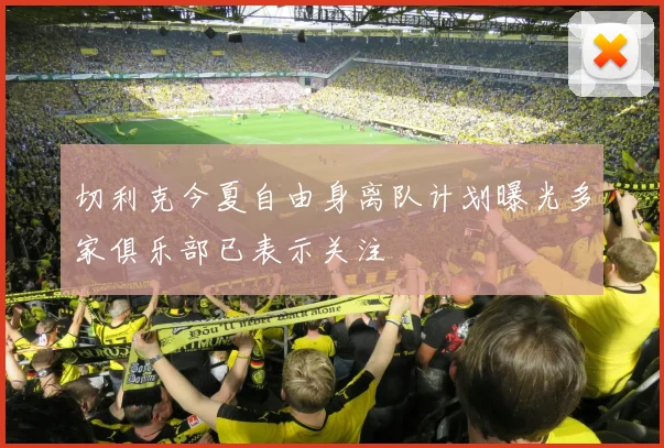 切利克今夏自由身离队计划曝光多家俱乐部已表示关注