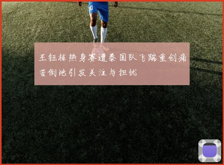 王钰栋热身赛遭泰国队飞踹重创痛苦倒地引发关注与担忧