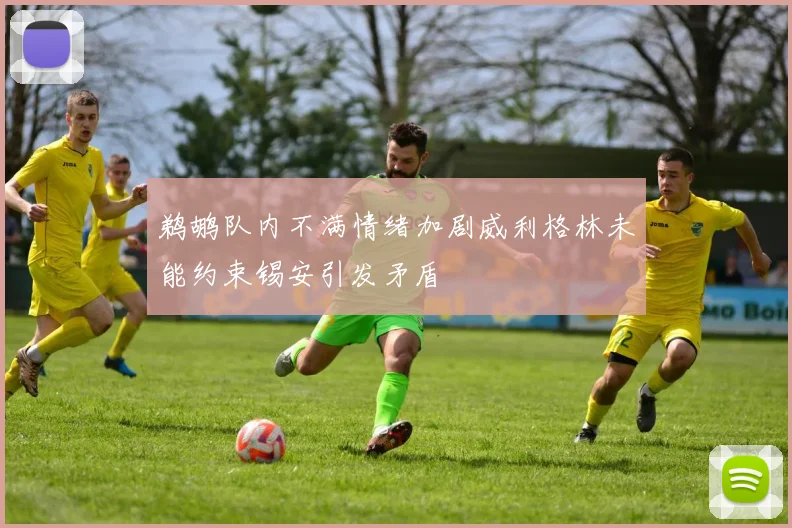 鹈鹕队内不满情绪加剧威利格林未能约束锡安引发矛盾